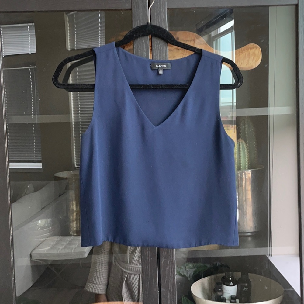 Aritzia Murphy Blue Sleeveless Blouse